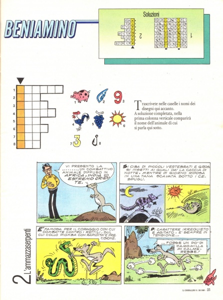 25