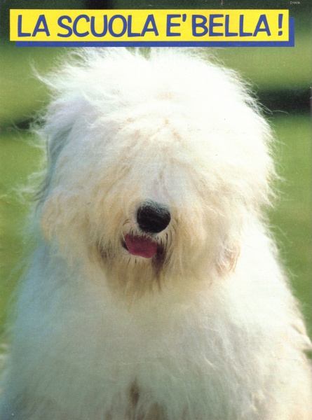 58