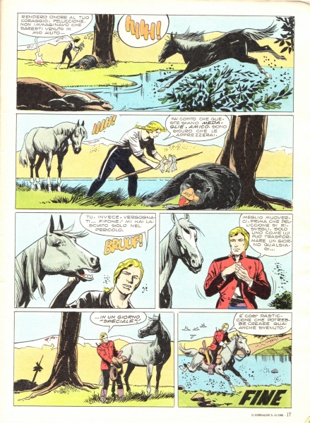 17