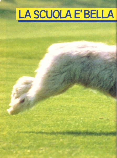 66