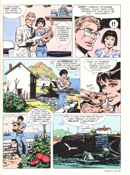 81
