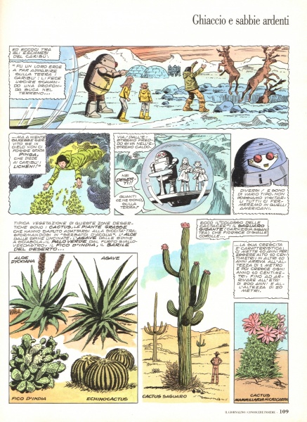55