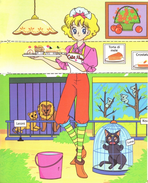 17