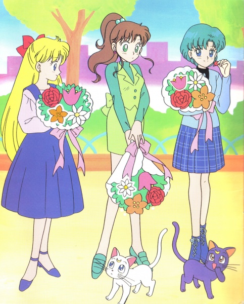 Seconda di copertina