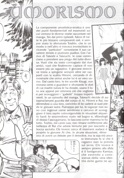 12 inserto