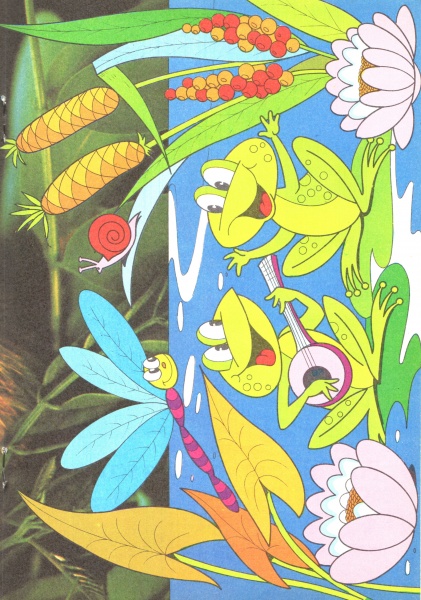 31