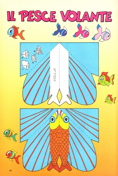 24