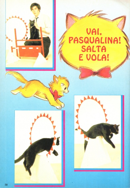 58