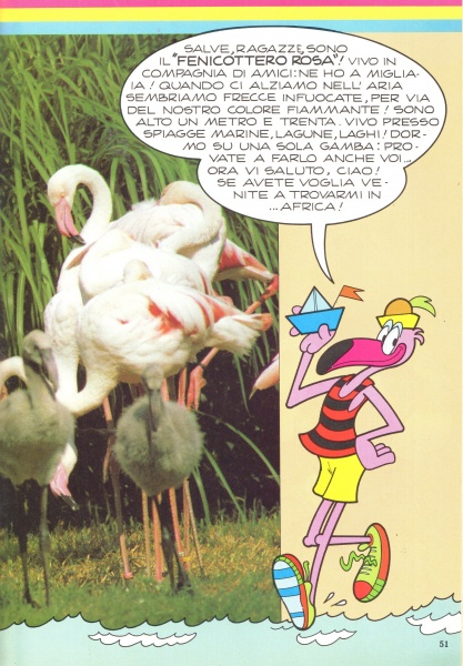 51