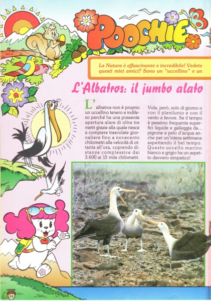 34