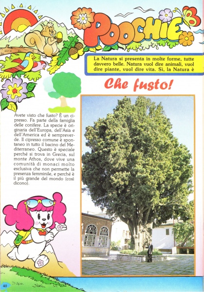 40