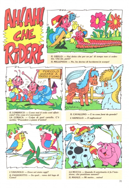 31