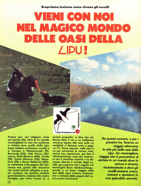 70