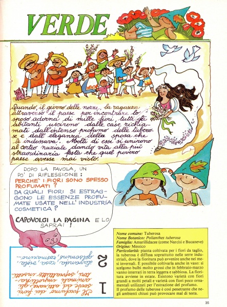 35