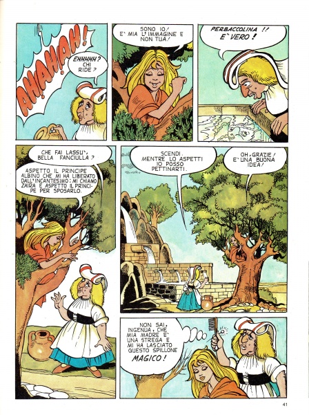 41