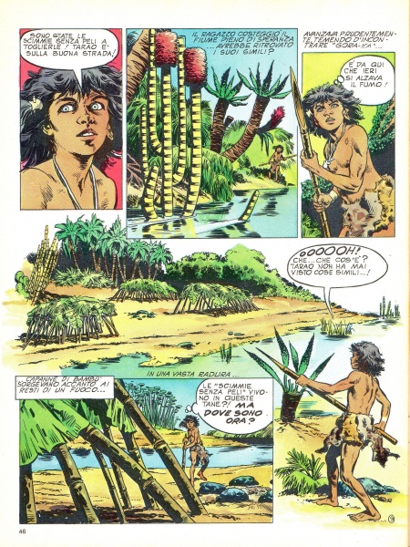 46