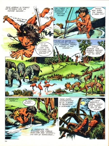 54