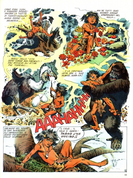 55