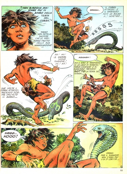 53