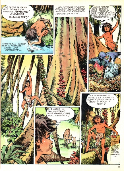55