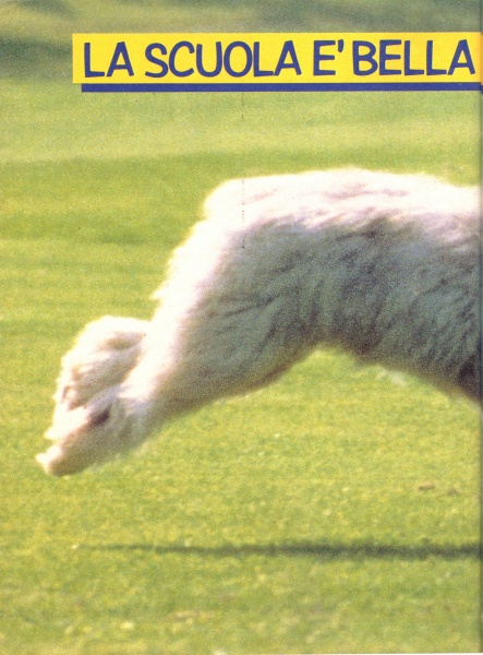 74