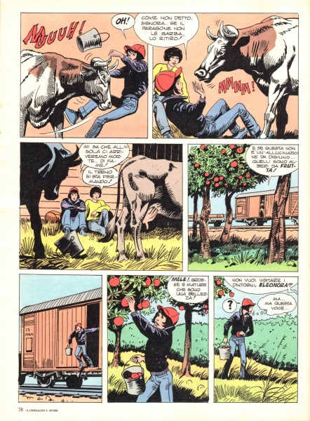 78